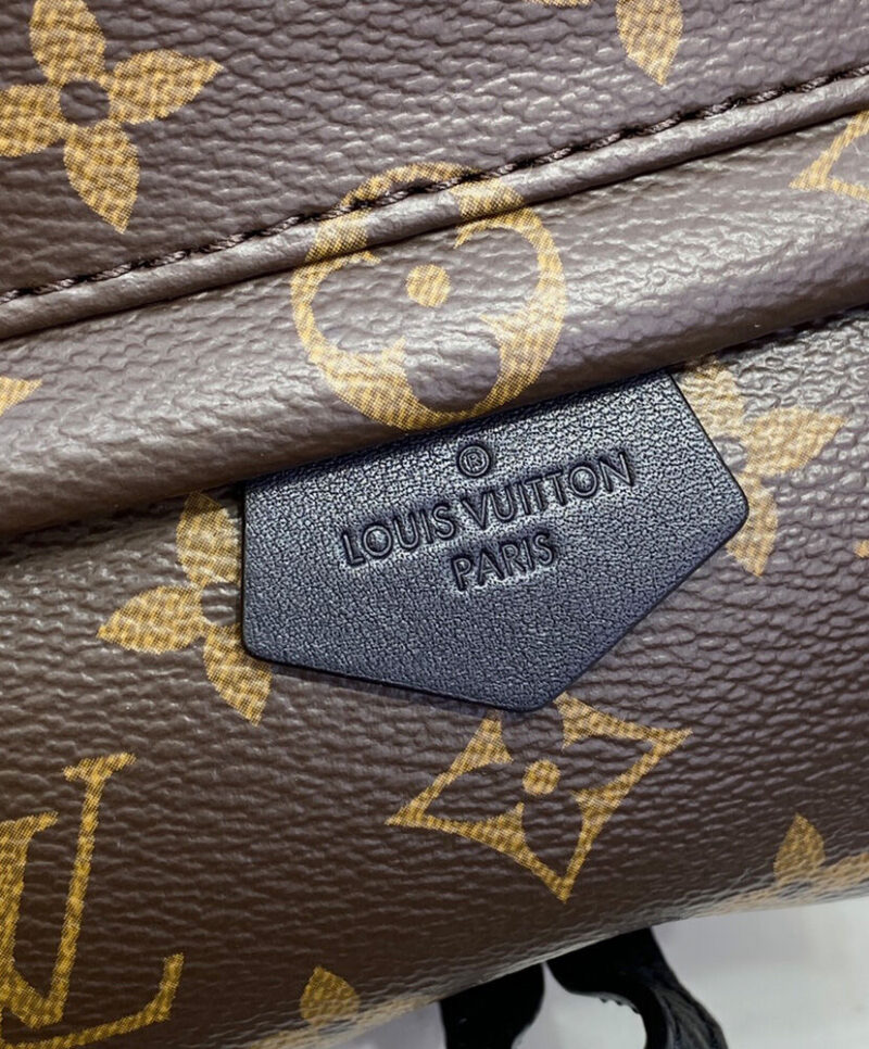 Louis Vuitton Palm Springs Mini M44873 Brown